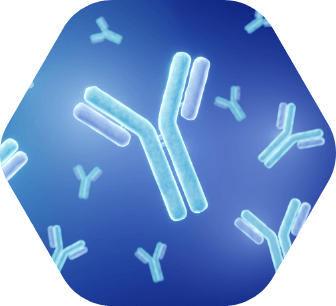 unique characteristics of autoantibodies are powerful and predictive biomarkers of disease and therapeutic response.